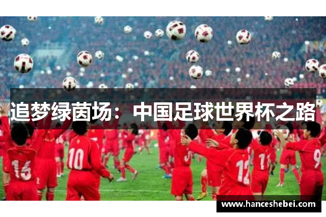 追梦绿茵场：中国足球世界杯之路