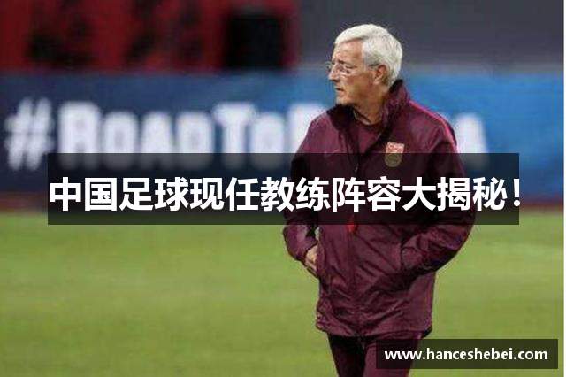中国足球现任教练阵容大揭秘！